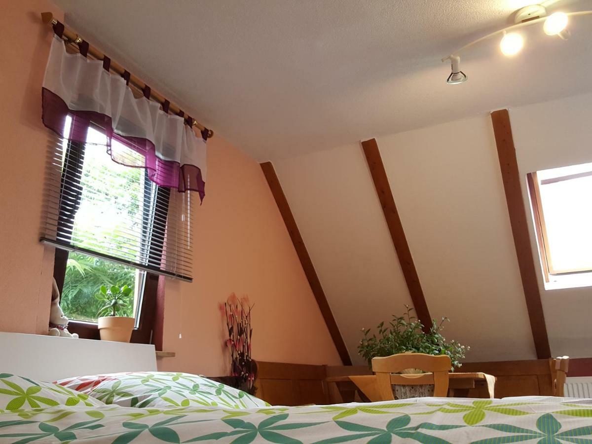 Ferienhaus Am Kirchberg Kurort Steinbach-Hallenberg Экстерьер фото