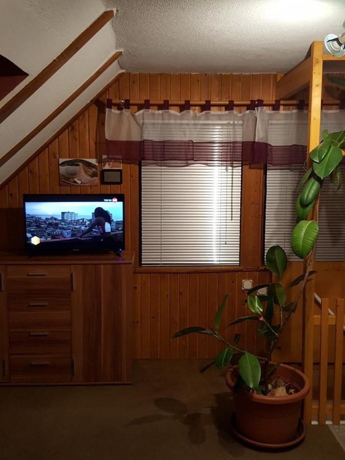 Ferienhaus Am Kirchberg Kurort Steinbach-Hallenberg Экстерьер фото
